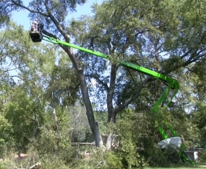 Tree Trimming in Suwanee GA - Chipper Tree Service - SD64_Tree_Work__1_