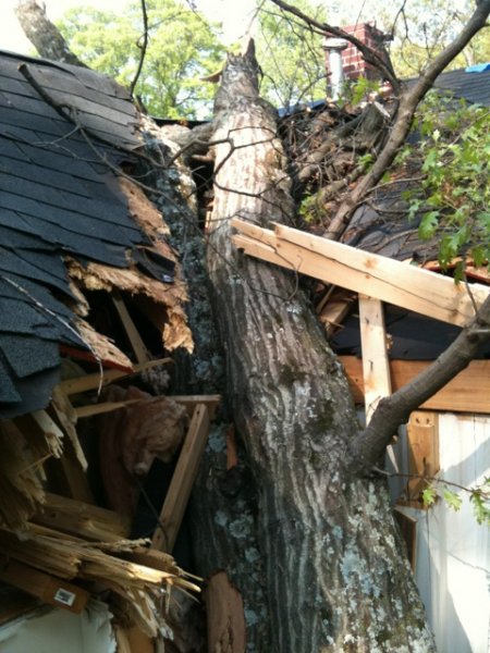 Picture_042.jpg
