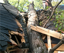 Damaged roof by a tree serviced by Chipper LLC Tree Service
