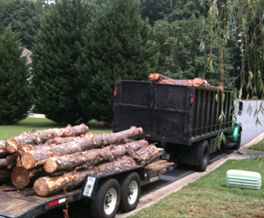 Chipper LLC Tree Service, trusted tree service company in Cumming, GA