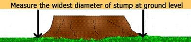 stumpgrinding_clip_image005.jpg