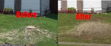 Before and after expert tree stumping from Chipper LLC Tree Service