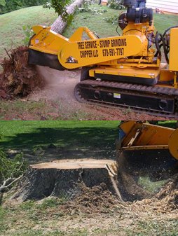 Tree stumping equipment used by Chipper LLC Tree Service in Cumming, GA