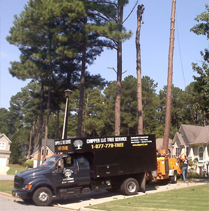 Truck of Chipper LLC Tree Service in Cumming, GA