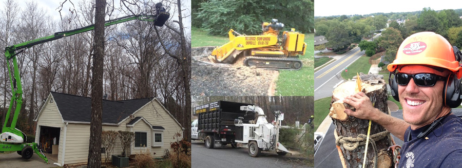 Superior tree services by Chipper Trees LLC in Cumming, GA