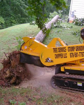 Storm Cleanup & Demolition Cumming GA - Chipper LLC Tree Service - tree0